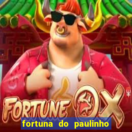 fortuna do paulinho do roupa nova